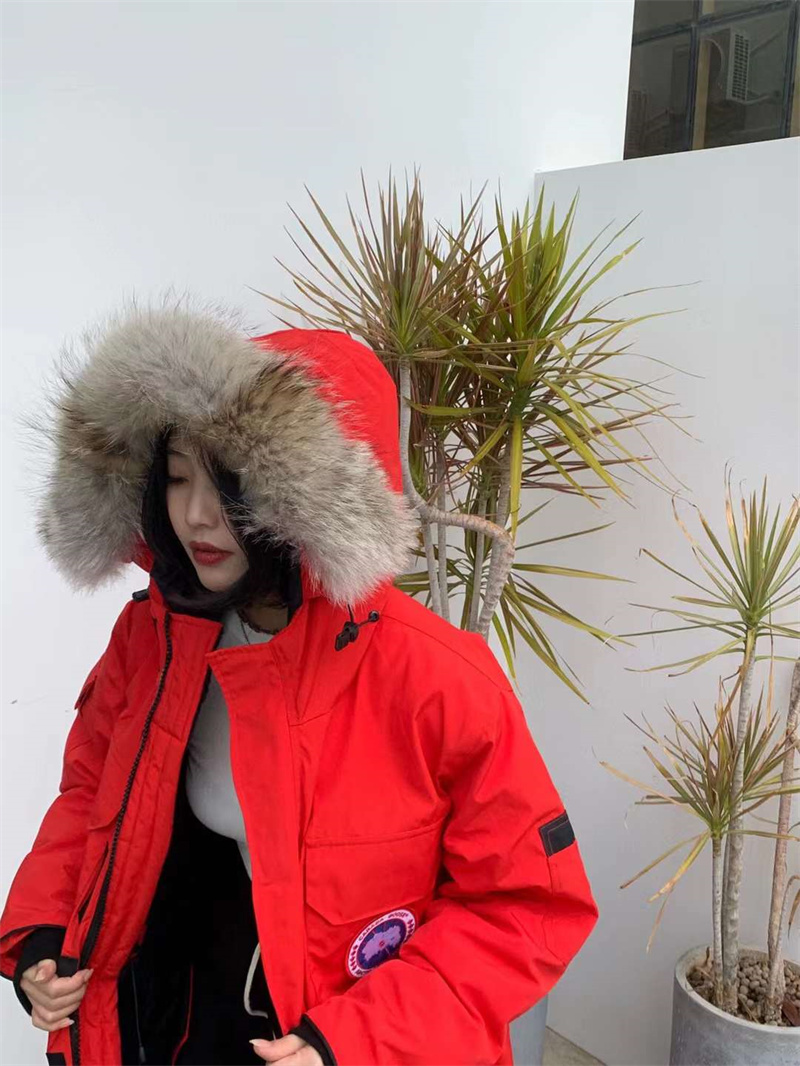 微信图片_20231215111239