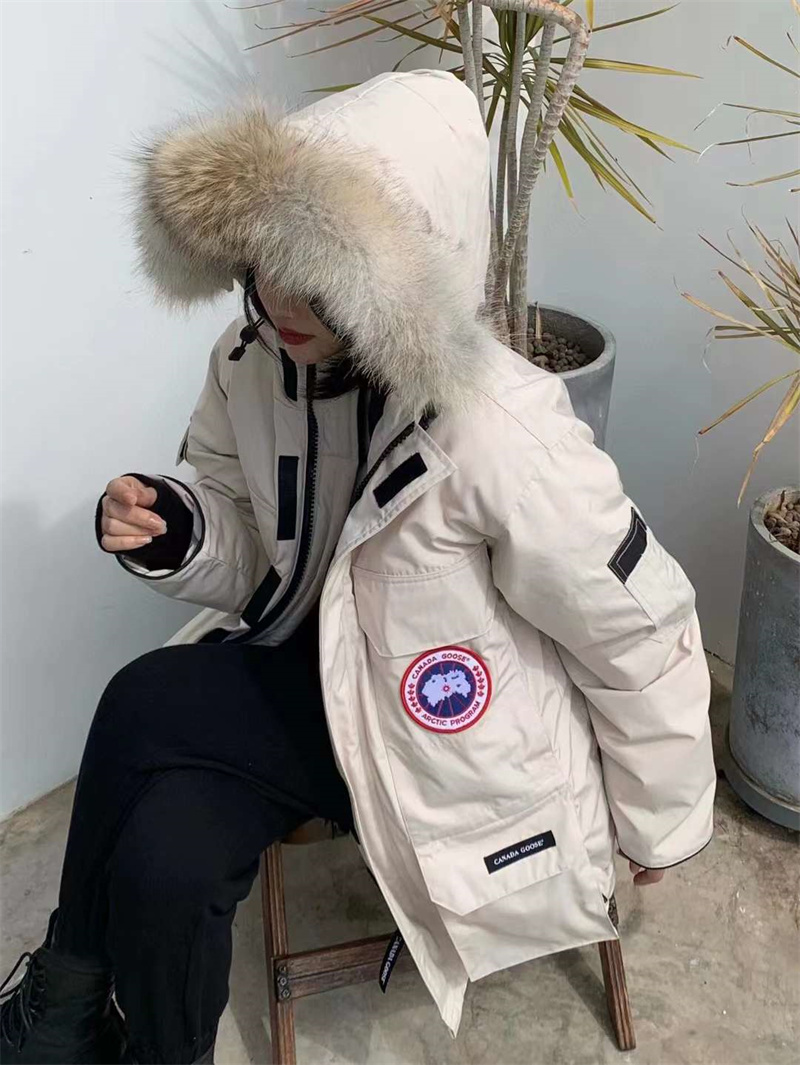微信图片_20231215111740